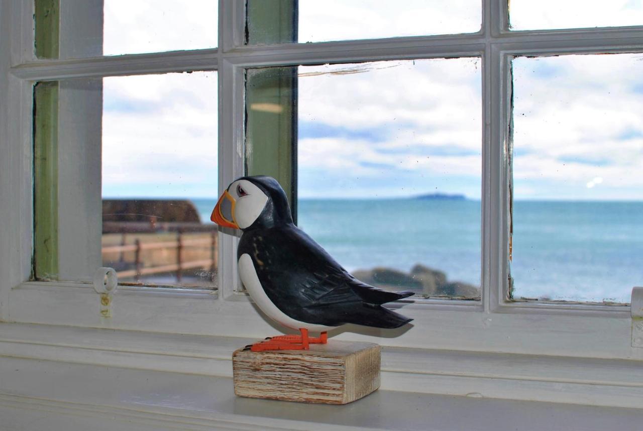 Aqua Vista- Seafront Cottage Cellardyke Anstruther Bagian luar foto
